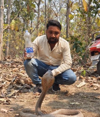 भरीगर्मी से प्यासे सांप ने बोतल से पिया पानी, मार्च के महीने में ही तपने लगा छत्तीसगढ़,’घरों के बाहर पानी जरूर रखें!
